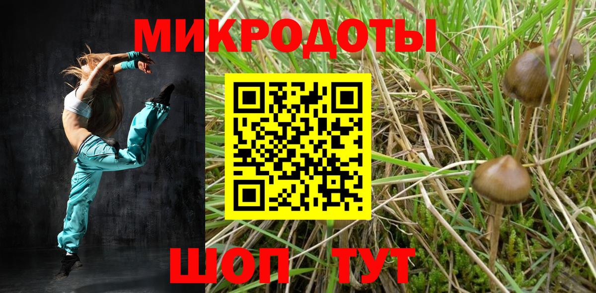 Галлюциногенные грибы GOLDEN TEACHER  Вход с VPN  Хасавюрт 