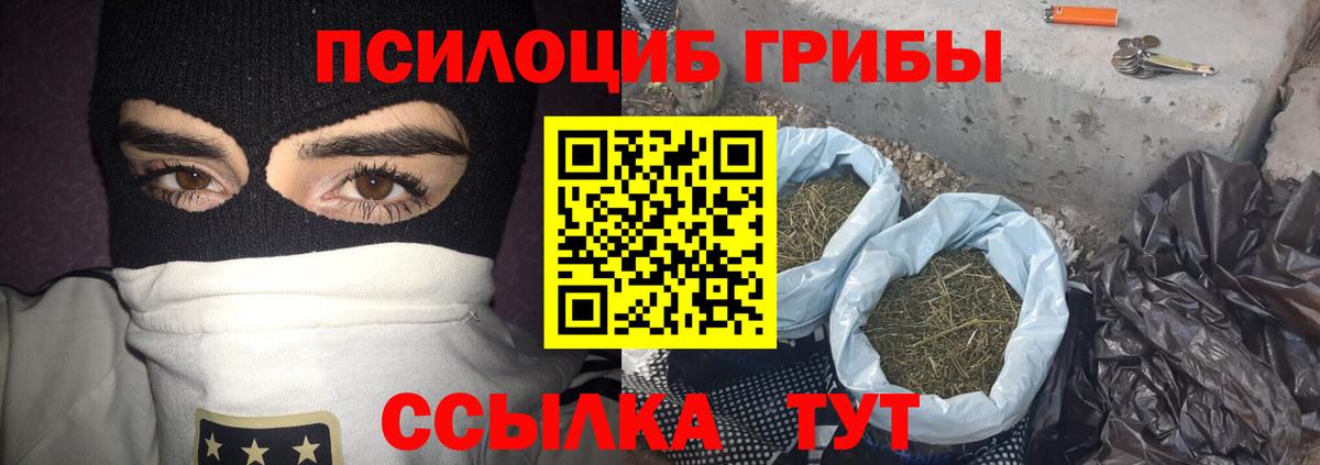 Псилоцибиновые грибы MAGIC MUSHROOMS Хасавюрт